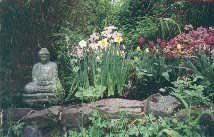 Nicki's Garden