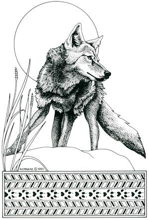 illustration of Coyote by Angela Werneke